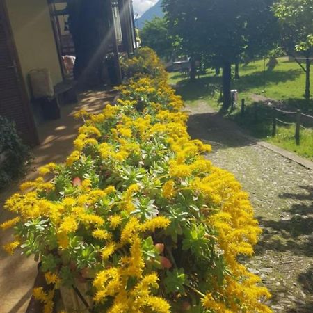 Castagno 1 Sentiero Del Viandante Apartment Bellano Luaran gambar